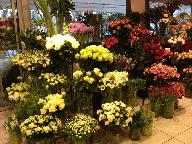 Schnittblumen